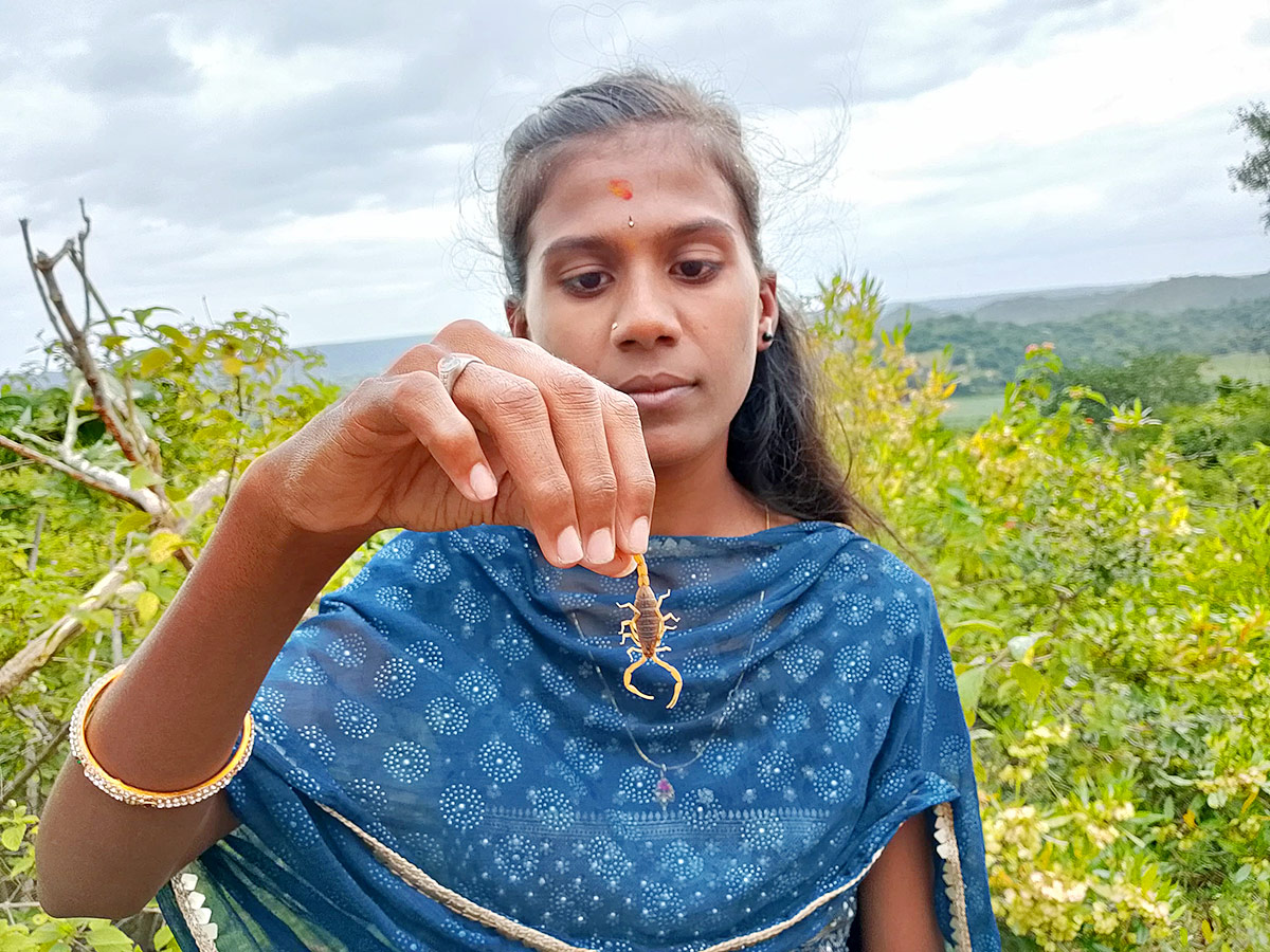 Tella Panchami in Mahabubnagar7