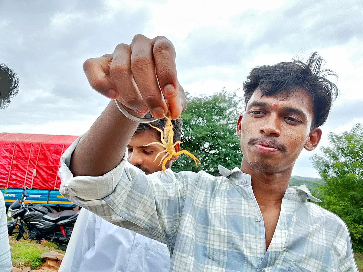 Tella Panchami in Mahabubnagar8