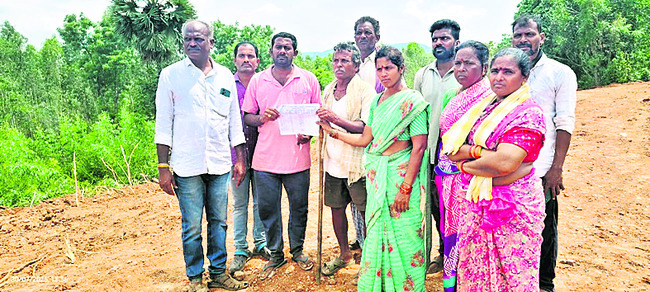 రోడ్డు కోసం యూకలిప్టస్‌ తోట ధ్వంసం 1