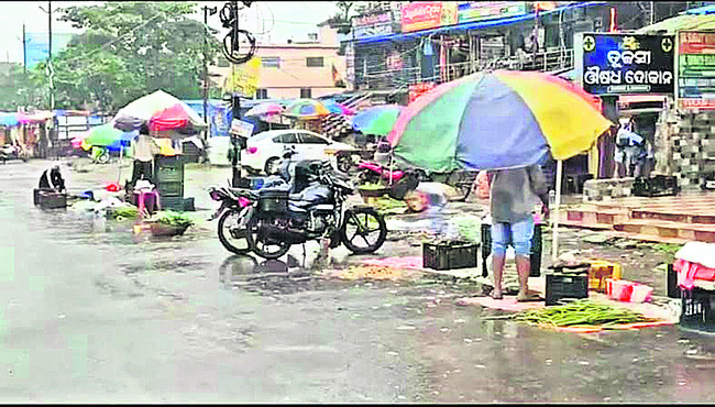 కొత్త కలెక్టర్ను కలిసిన జెడ్పీ ప్రెసిడెంట్ 2