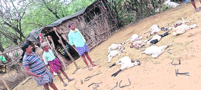 వైఎస్సార్సీపీ నేతల అరెస్ట్ 2