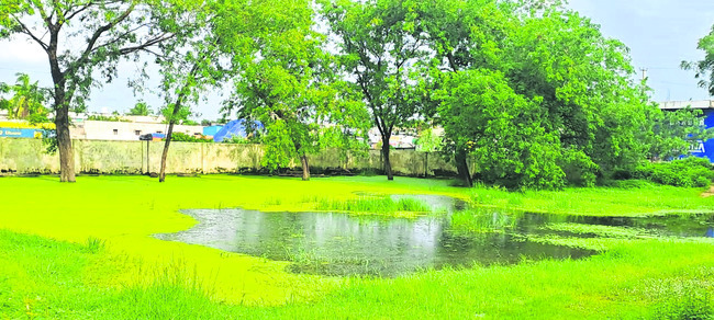 శుభకార్యాలు చేసుకునేదెలా? 1