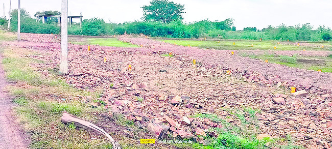 సర్కారు భూమి భళే చవక!1