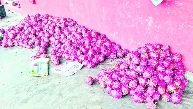 ‘డ్రాగన్’ కాసులు!2