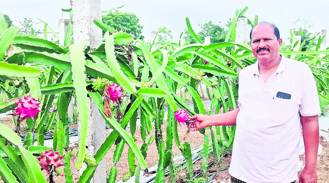 ‘డ్రాగన్’ కాసులు!3