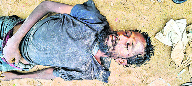 ఉద్దానంలో కొబ్బరి తోటల పరిశీలన 2