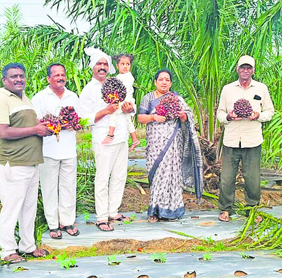 పంచాయతీలకు..2