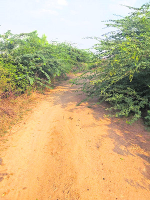 పూడికతీతకు మోక్షం1
