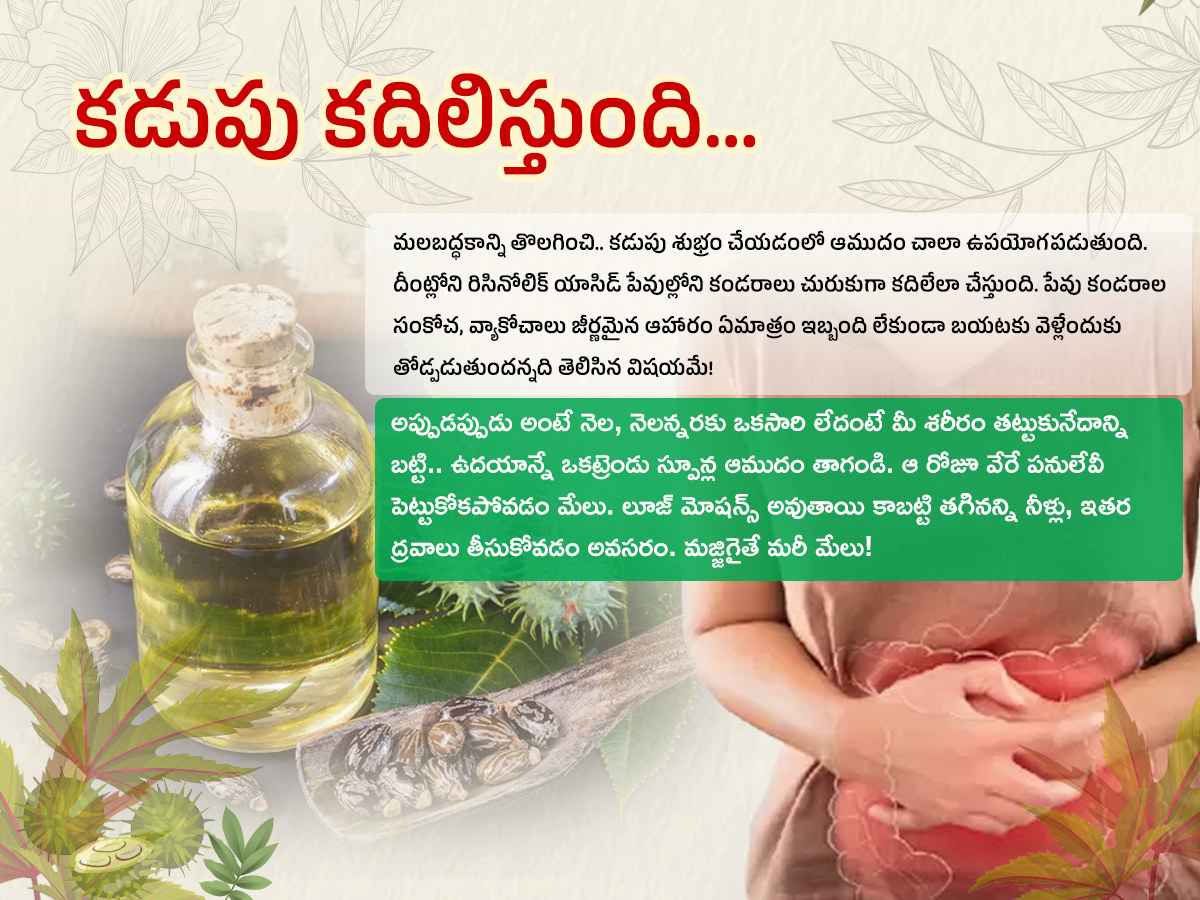 Castor Oil : Health Benefits Amudham2