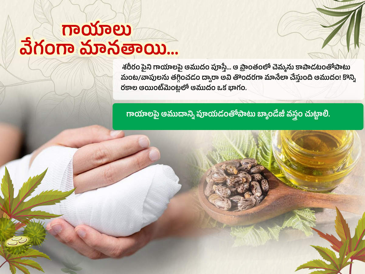 Castor Oil : Health Benefits Amudham8