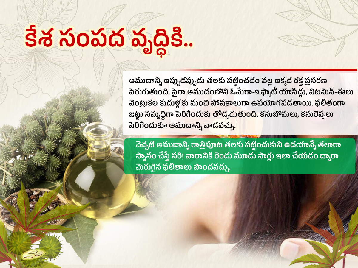 జిడ్డు ఆముదమే కానీ..ఎన్ని ప్రయోజనాలో తెలుసా..! (ఫొటోలు) | Castor Oil ...