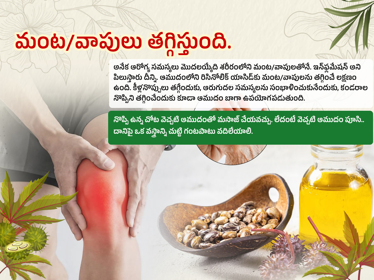 జిడ్డు ఆముదమే కానీ..ఎన్ని ప్రయోజనాలో తెలుసా..! (ఫొటోలు) | Castor Oil ...