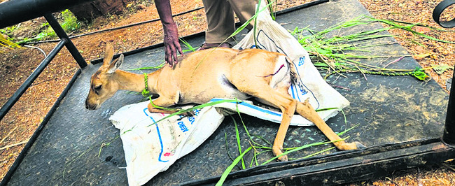 ఉరి వేసుకుని యువకుడి ఆత్మహత్య   2