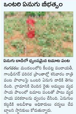 మెగా పీటీఎంకు పరిశీలన అధికారెందుకు?
3