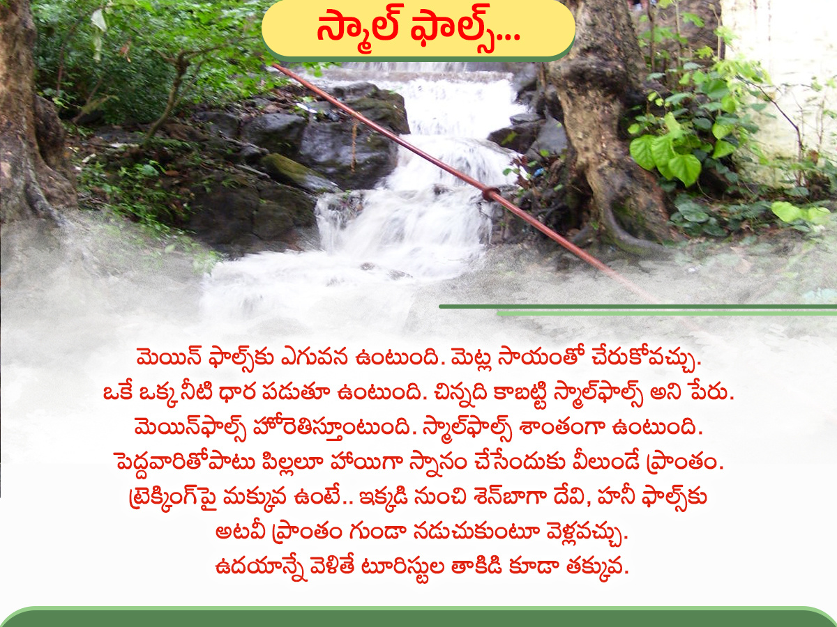 Have you seen the Kutralam waterfalls: Photos2