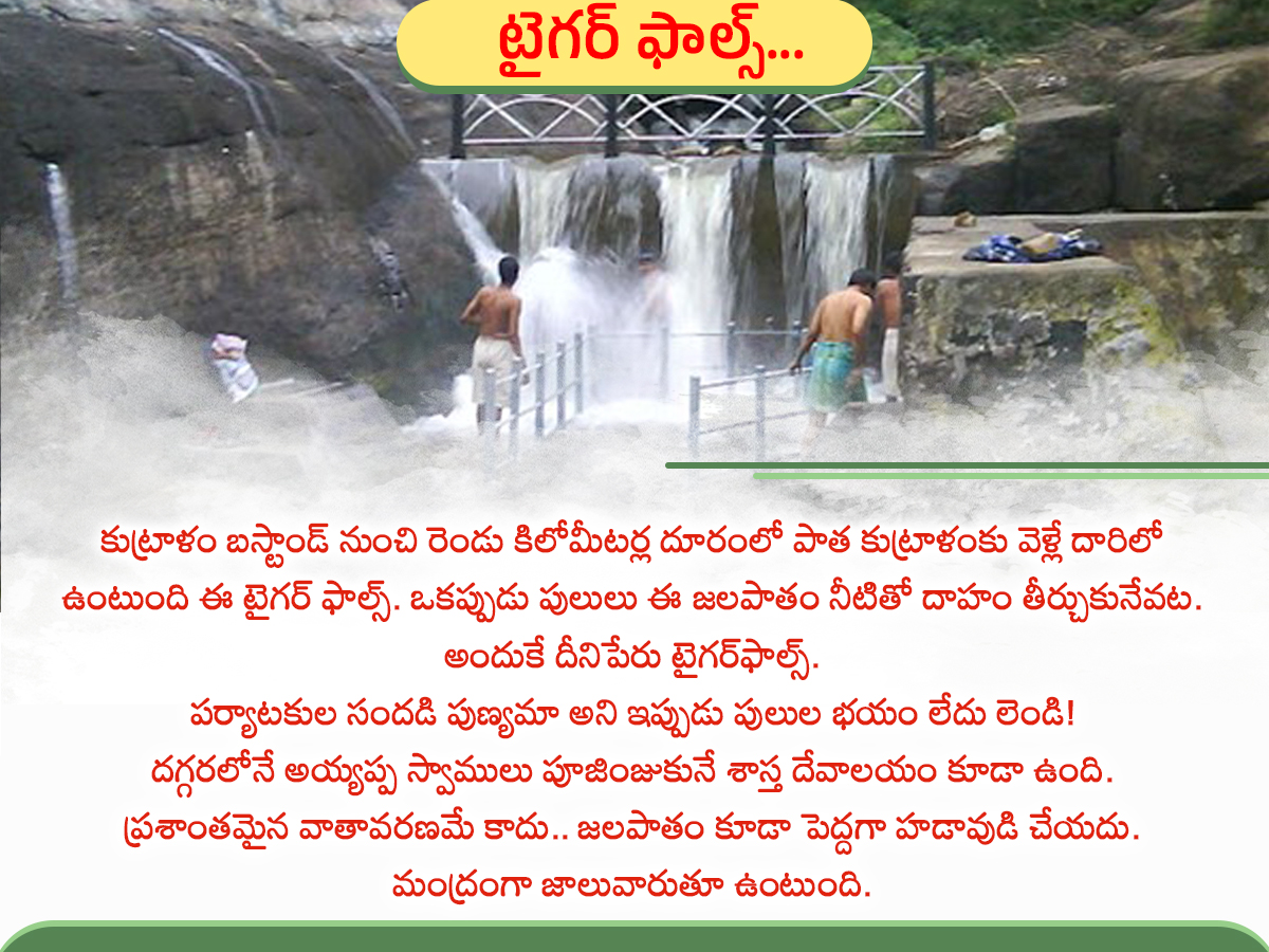 Have you seen the Kutralam waterfalls: Photos8