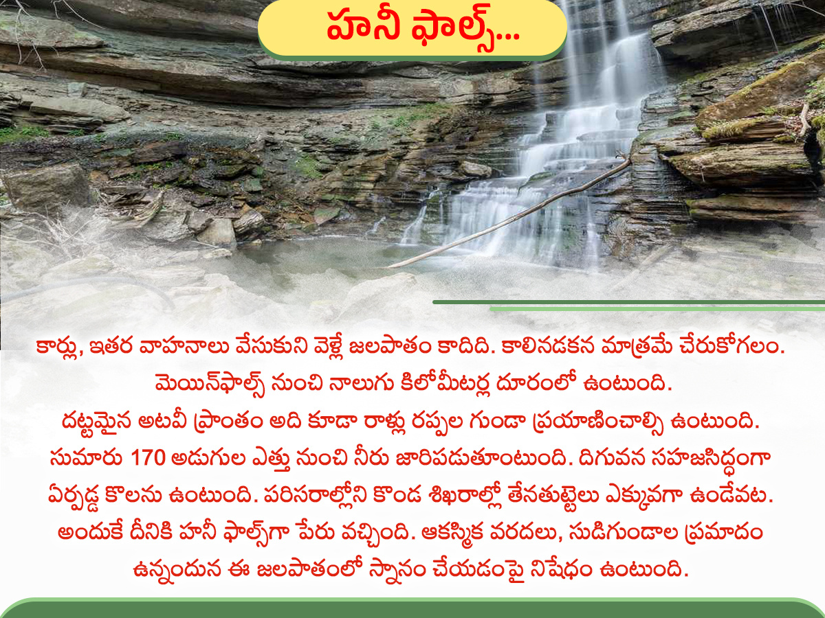 Have you seen the Kutralam waterfalls: Photos6