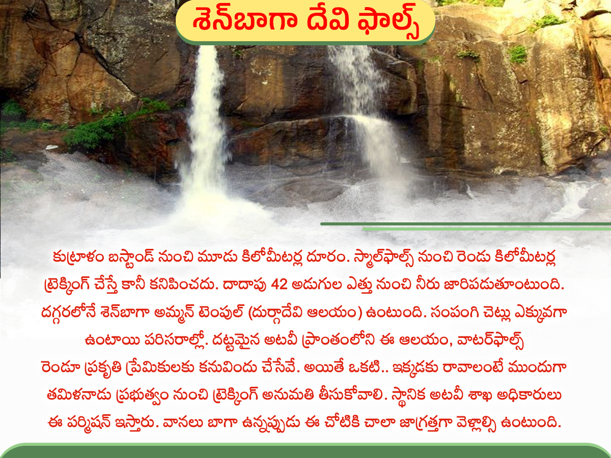 Have you seen the Kutralam waterfalls: Photos5