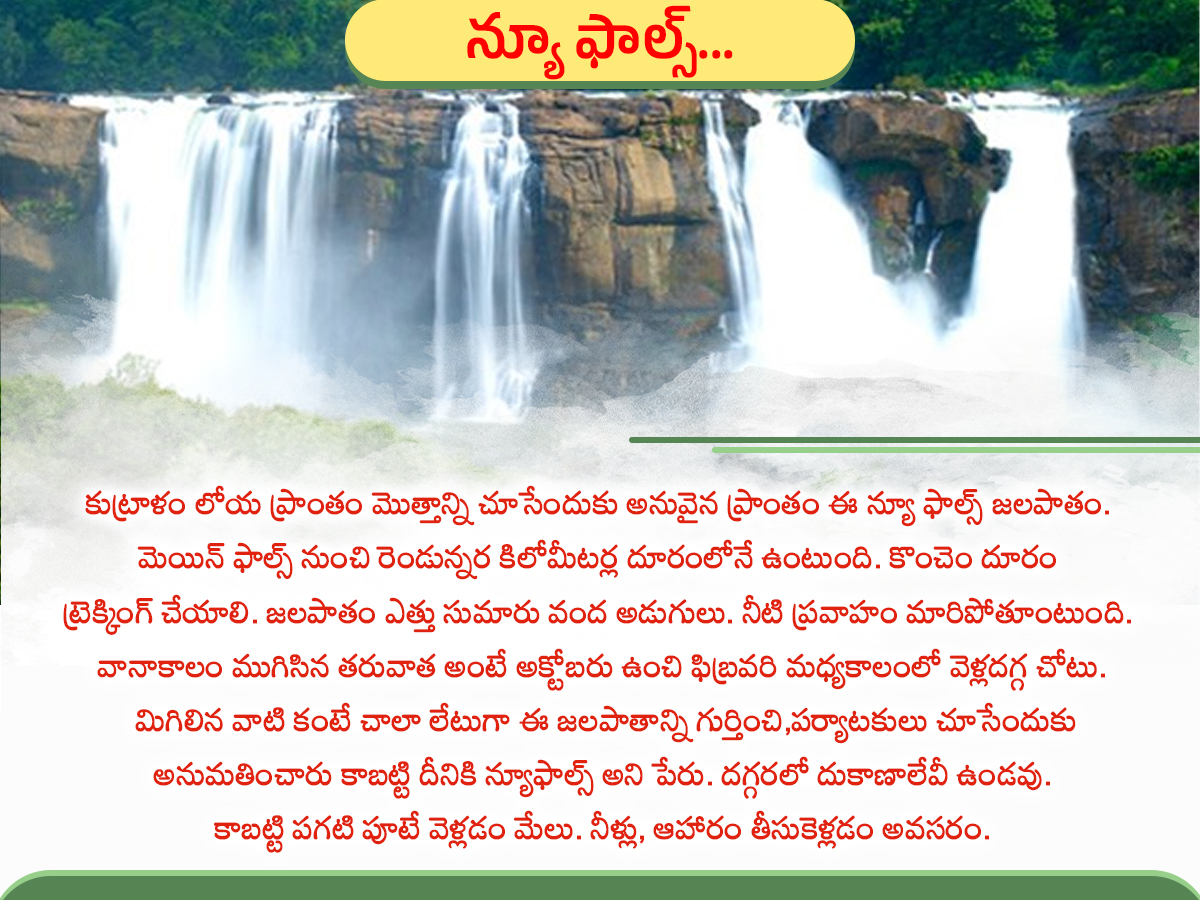 Have you seen the Kutralam waterfalls: Photos9