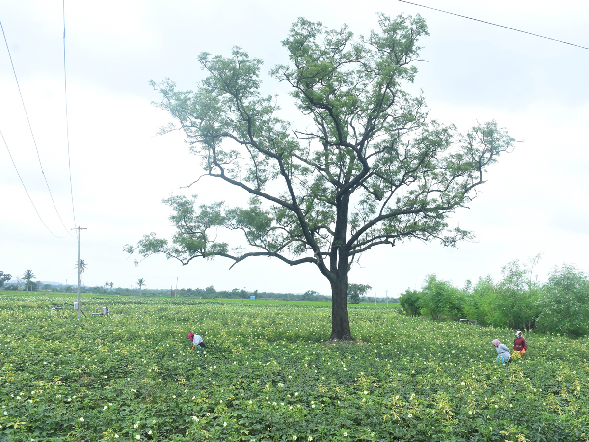 Best Photos of The Week in AP and Telangana Photo Gallery18