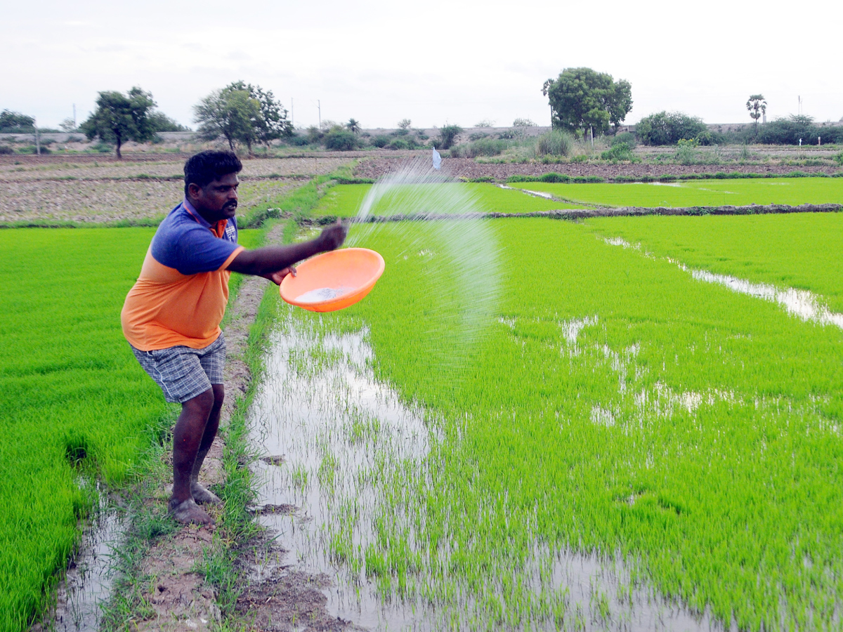Best Photos of The Week in AP and Telangana Photo Gallery4