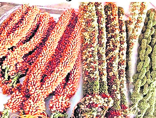 భక్తజన సంద్రం.. తిరుచెందూరు2