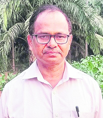 మడిలో.. సందడి2