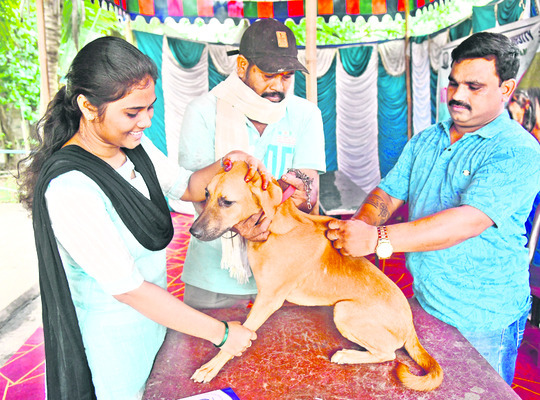ప్రేమతో.. టీకా! 1