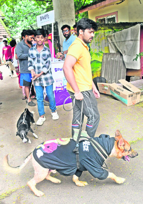 ప్రేమతో.. టీకా! 7