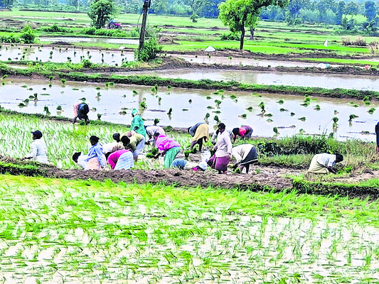 ఇదేం కొలువు.. గురూ! 2