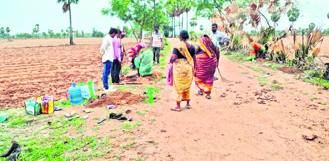 వన మహోత్సవానికి సన్నద్ధం1