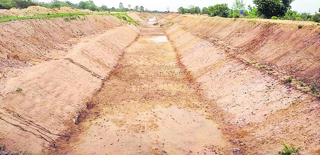 సాగుకు సింగూరు నీరు1