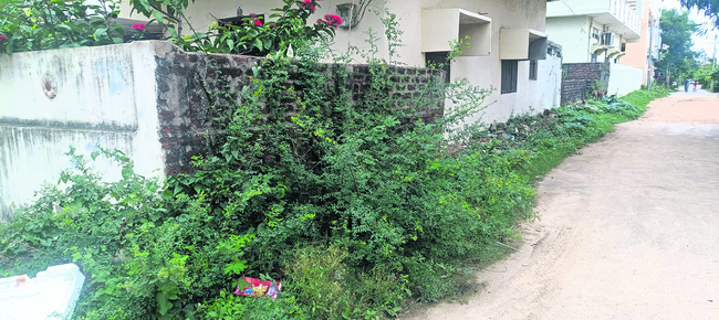 డ్రెయినేజీలో పేరుకున్న వ్యర్థాలు 1