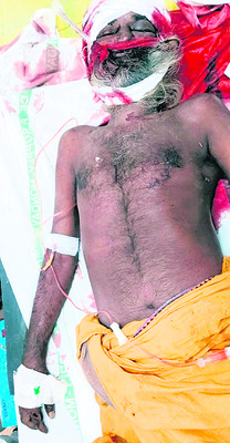 శ్రీవారి సేవలో తమిళనాడు గవర్నర్ 3