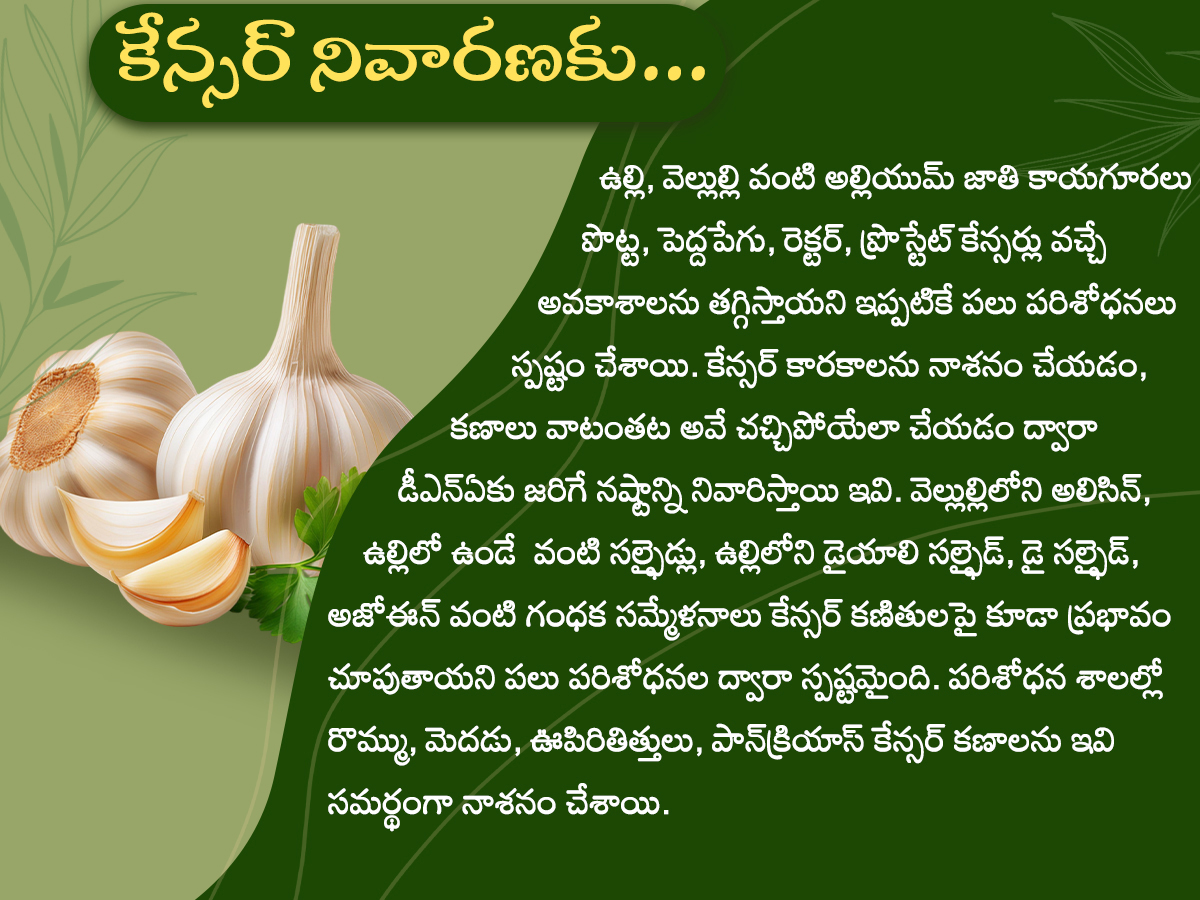 Health Tips : Health Benefits of Garlic Photos4