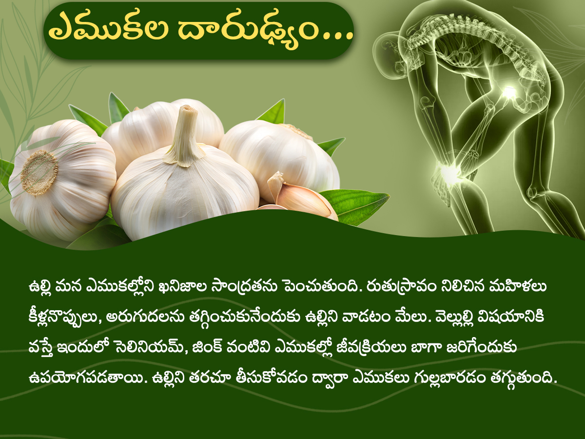 Health Tips : Health Benefits of Garlic Photos6
