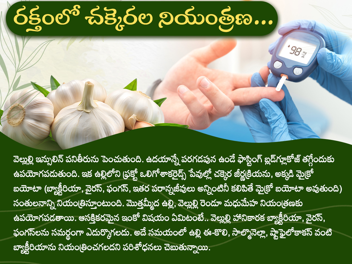 Health Tips : Health Benefits of Garlic Photos7