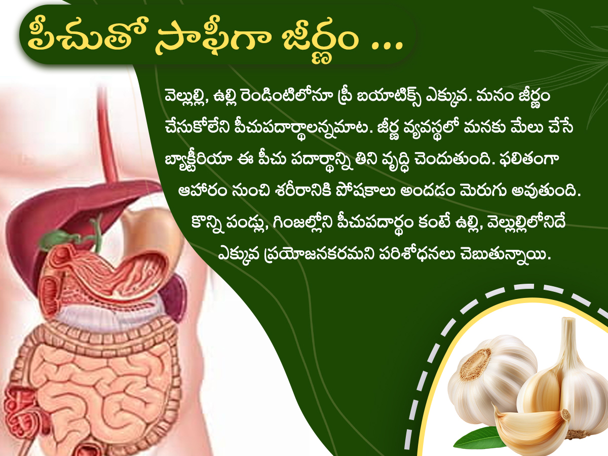 Health Tips : Health Benefits of Garlic Photos8