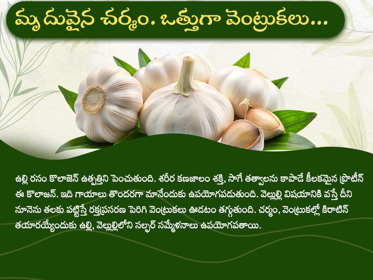 Health Tips : Health Benefits of Garlic Photos9