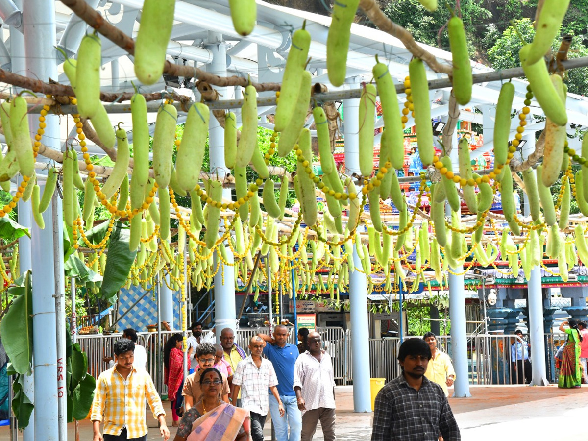 Shakambari Utsavalu 2025 At Indrakeeladri Kanaka Durga Temple Photos28