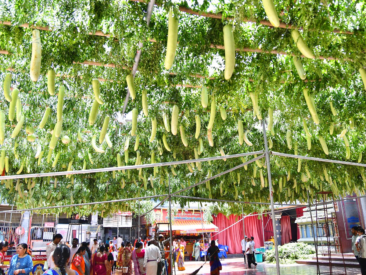 Shakambari Utsavalu 2025 At Indrakeeladri Kanaka Durga Temple Photos2
