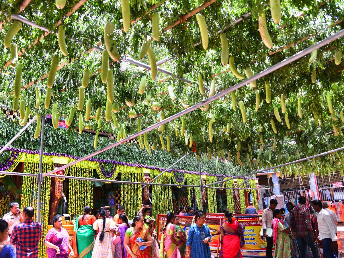 Shakambari Utsavalu 2025 At Indrakeeladri Kanaka Durga Temple Photos3