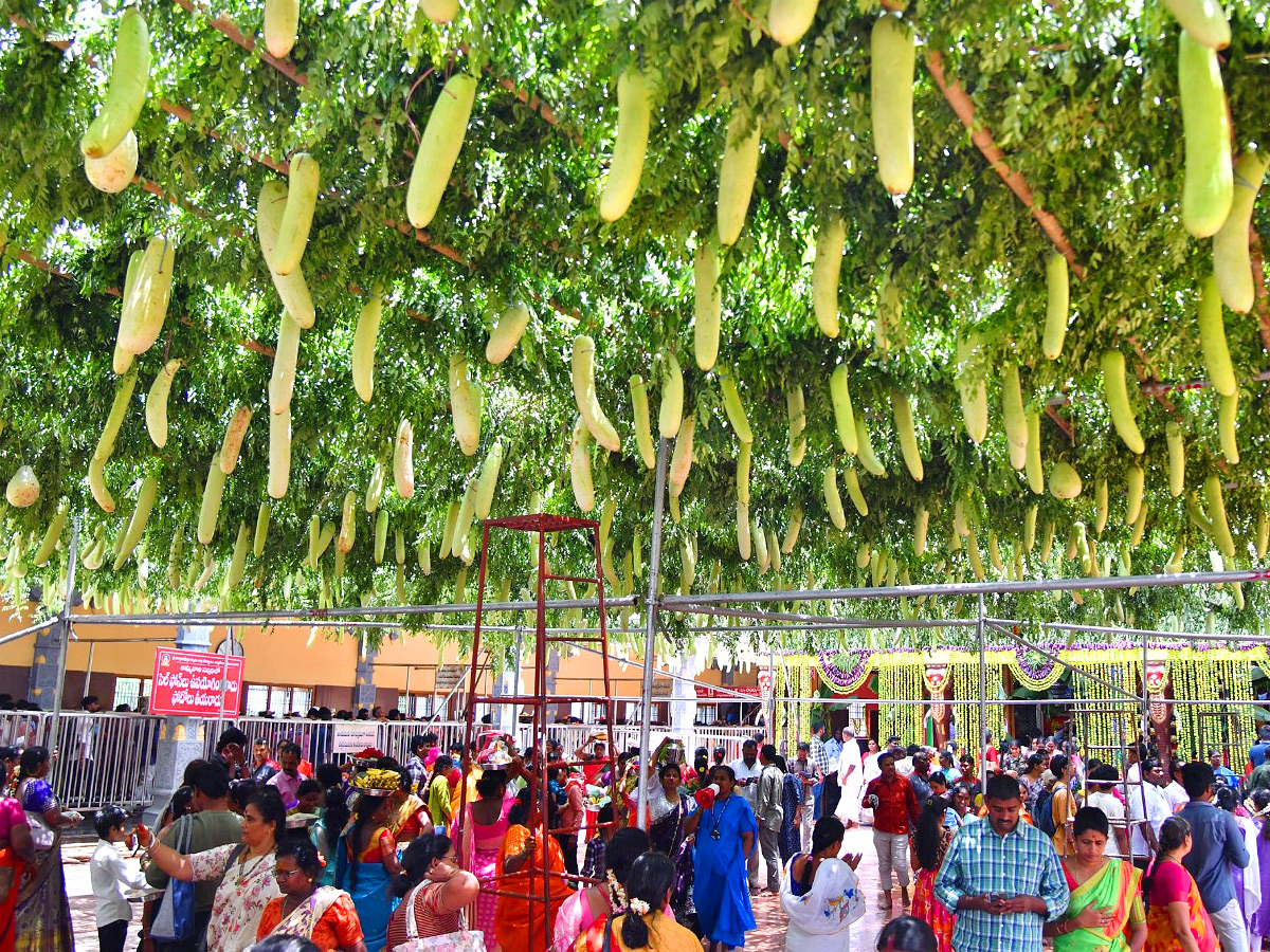 Shakambari Utsavalu 2025 At Indrakeeladri Kanaka Durga Temple Photos6