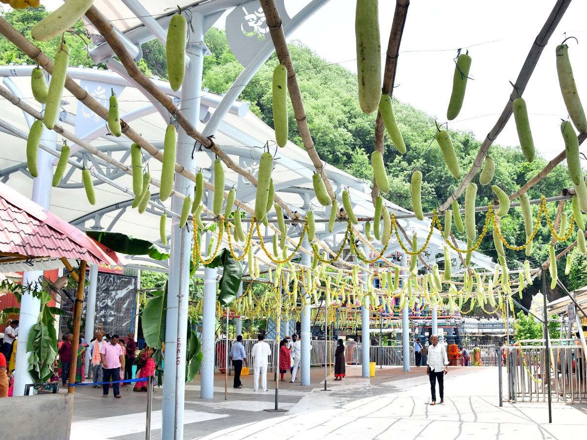 Shakambari Utsavalu 2025 At Indrakeeladri Kanaka Durga Temple Photos19