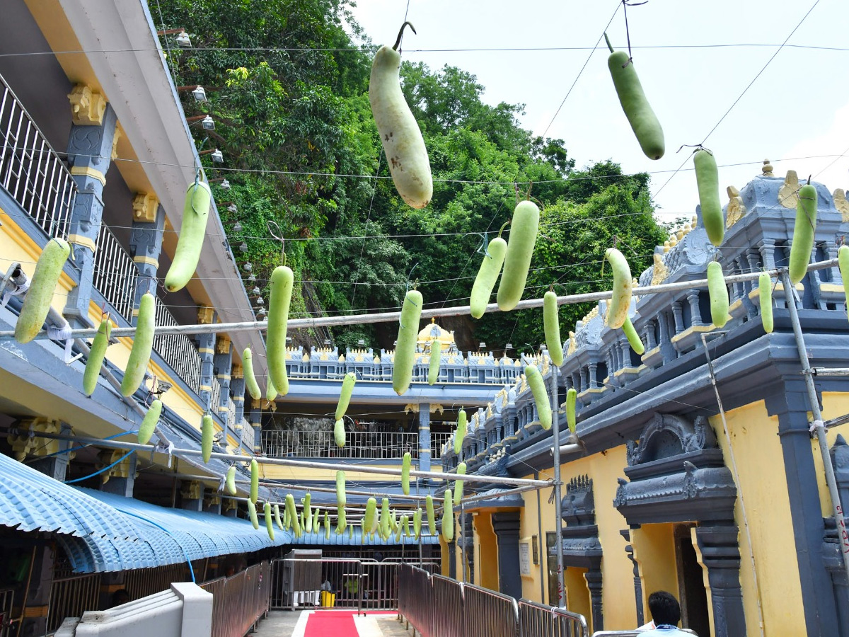 Shakambari Utsavalu 2025 At Indrakeeladri Kanaka Durga Temple Photos20