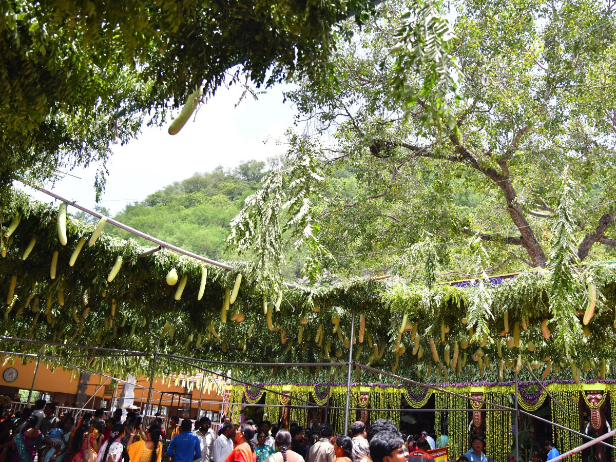Shakambari Utsavalu 2025 At Indrakeeladri Kanaka Durga Temple Photos24