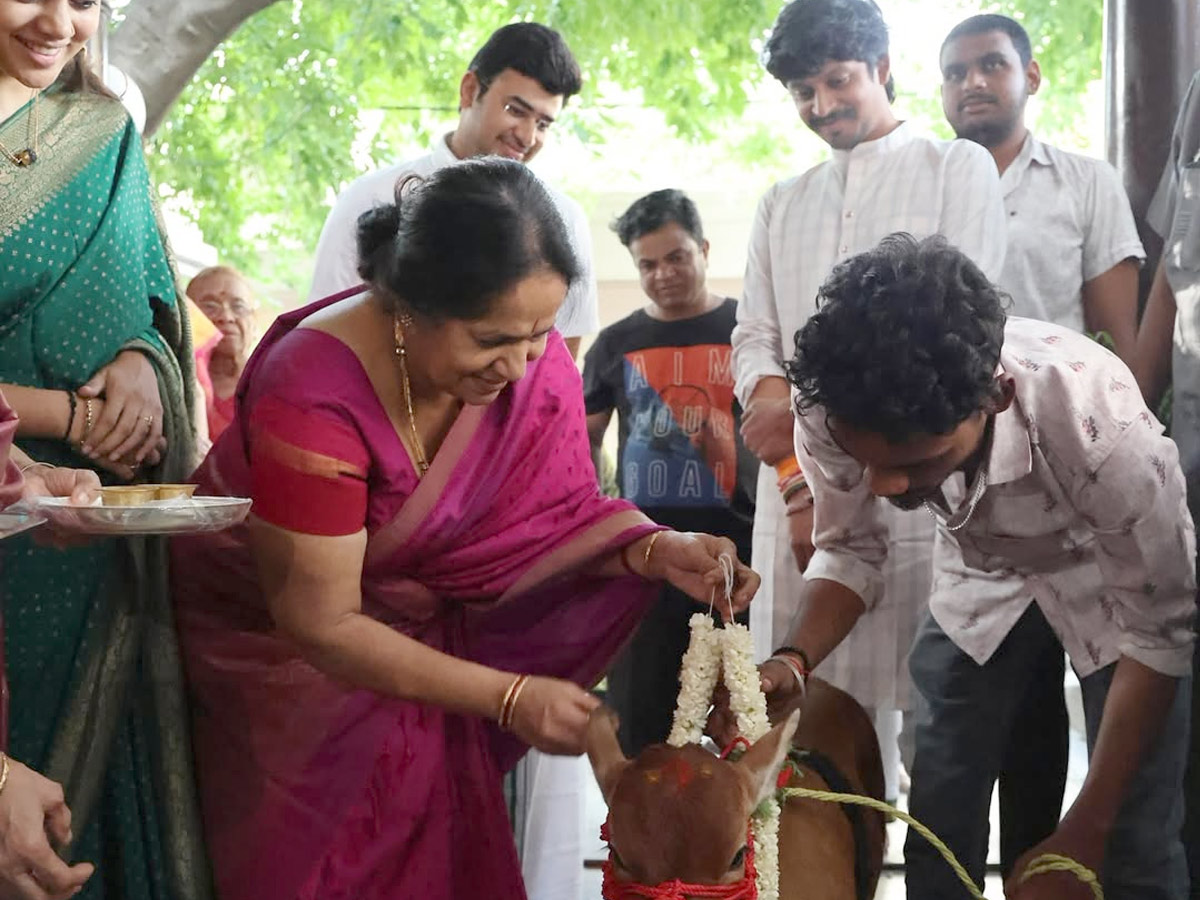Tejasvi Surya, Sivasri Skandaprasad welcome New family member Beautiful Punganur cow Photos2
