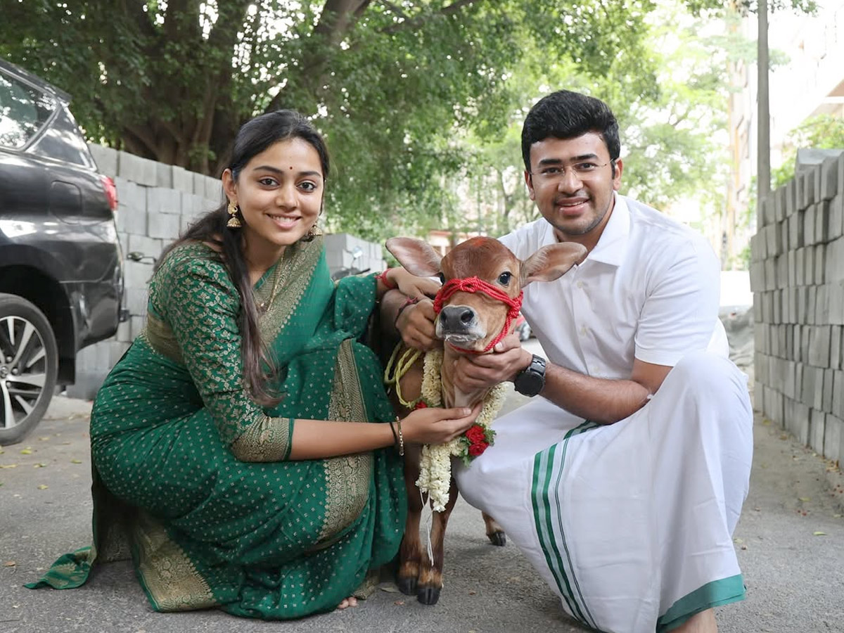 Tejasvi Surya, Sivasri Skandaprasad welcome New family member Beautiful Punganur cow Photos1