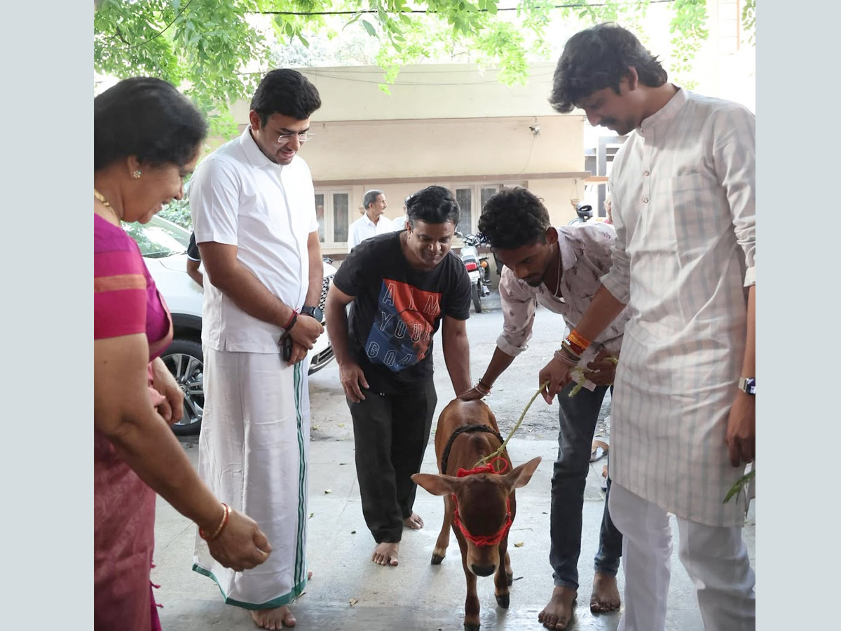 Tejasvi Surya, Sivasri Skandaprasad welcome New family member Beautiful Punganur cow Photos4