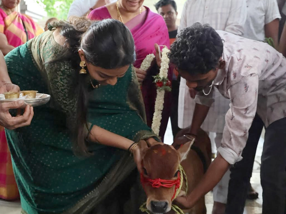 Tejasvi Surya, Sivasri Skandaprasad welcome New family member Beautiful Punganur cow Photos6